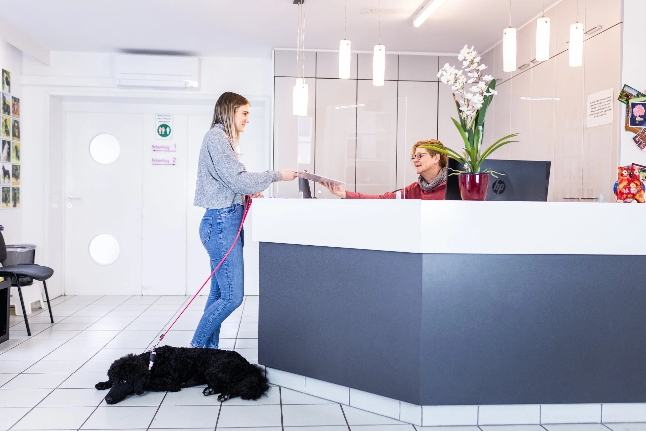 Kleintierpraxis Dr. Blendinger